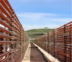 NATIVASTA® 天然蝦紅素(藻紅素)可再經由光能 + 熱能二階激活分泌高濃度蝦紅素