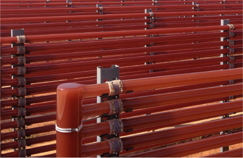 NATIVASTA® 天然蝦紅素(藻紅素)採用潔淨封閉式生產