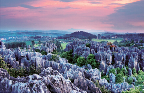 NATIVASTA® 天然蝦紅素(藻紅素)源自純淨無汙染環境